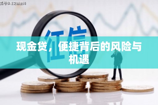 射阳现金贷，便捷背后的风险与机遇