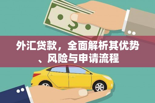 射阳外汇贷款，全面解析其优势、风险与申请流程