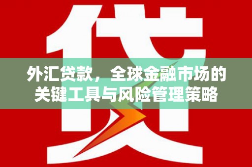 射阳外汇贷款，全球金融市场的关键工具与风险管理策略