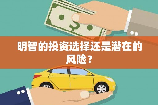射阳明智的投资选择还是潜在的风险？