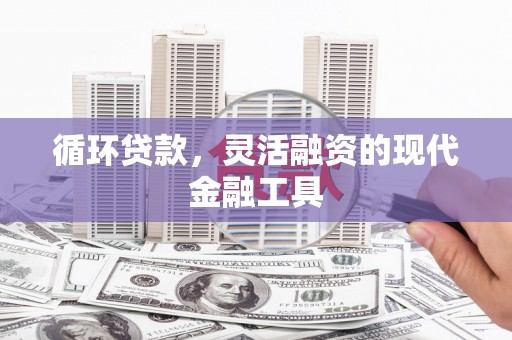 射阳循环贷款，灵活融资的现代金融工具