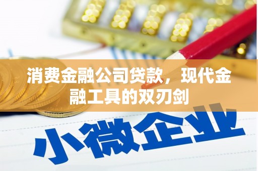 射阳消费金融公司贷款，现代金融工具的双刃剑