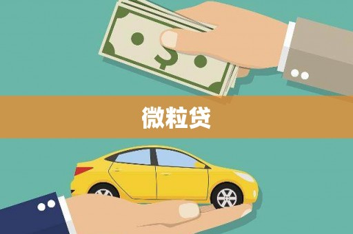 射阳微粒贷