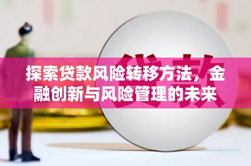 射阳探索贷款风险转移方法，金融创新与风险管理的未来