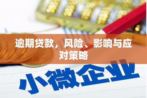 射阳逾期贷款，风险、影响与应对策略