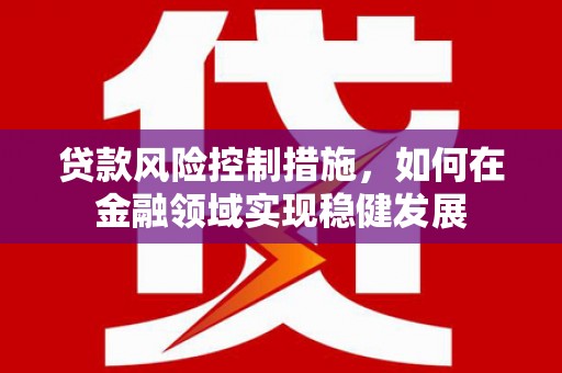 射阳贷款风险控制措施，如何在金融领域实现稳健发展
