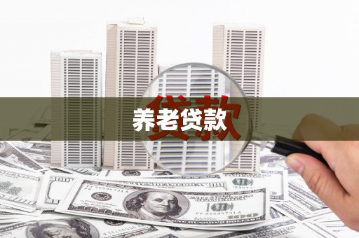 射阳养老贷款