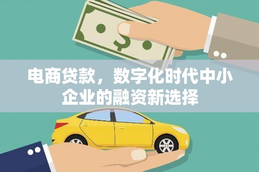 射阳电商贷款，数字化时代中小企业的融资新选择