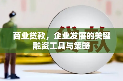 射阳商业贷款，企业发展的关键融资工具与策略