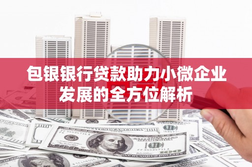 射阳包银银行贷款助力小微企业发展的全方位解析