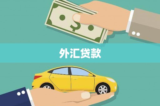 射阳外汇贷款