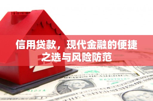 射阳信用贷款，现代金融的便捷之选与风险防范