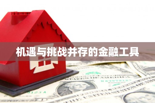 射阳机遇与挑战并存的金融工具