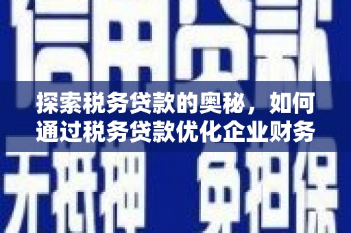 射阳探索税务贷款的奥秘，如何通过税务贷款优化企业财务