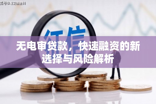射阳无电审贷款，快速融资的新选择与风险解析