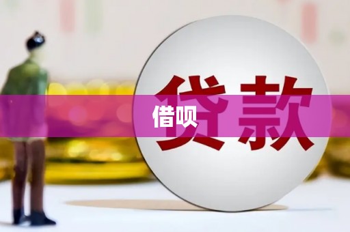 射阳借呗