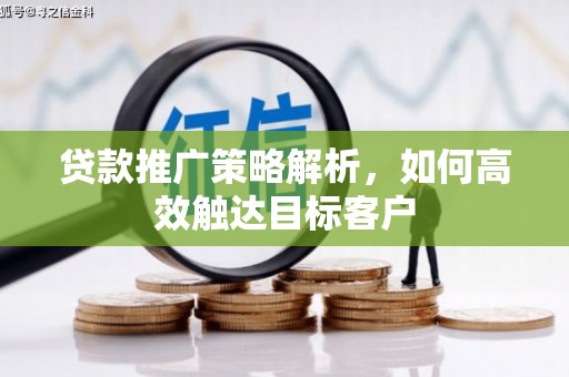 射阳贷款推广策略解析，如何高效触达目标客户