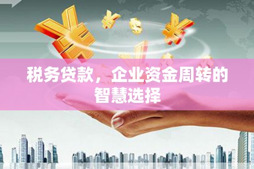 射阳税务贷款，企业资金周转的智慧选择