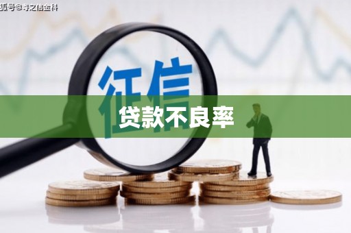 射阳贷款不良率