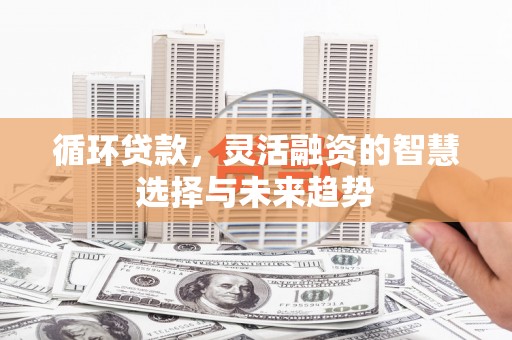 射阳循环贷款，灵活融资的智慧选择与未来趋势