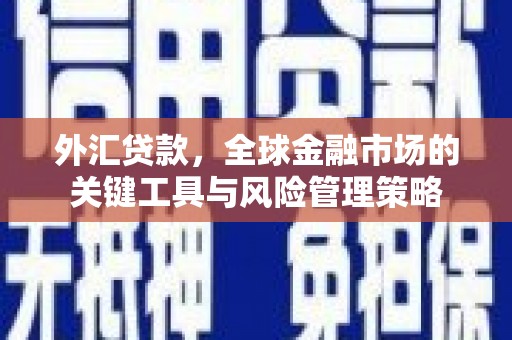 射阳外汇贷款，全球金融市场的关键工具与风险管理策略