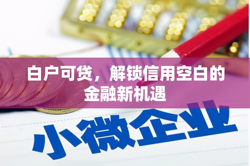 射阳白户可贷，解锁信用空白的金融新机遇
