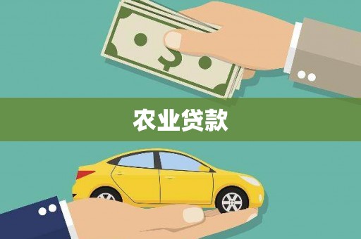 射阳农业贷款