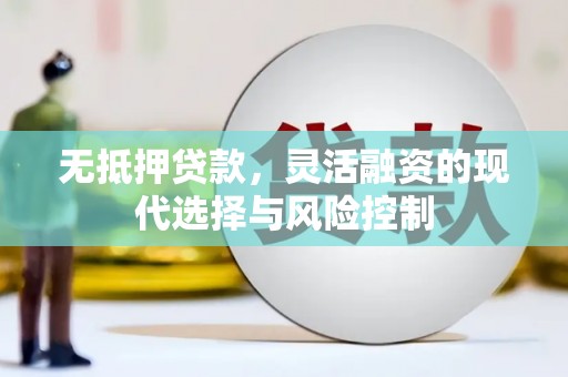 射阳无抵押贷款，灵活融资的现代选择与风险控制