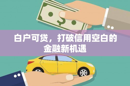 射阳白户可贷，打破信用空白的金融新机遇