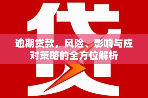 射阳逾期贷款，风险、影响与应对策略的全方位解析