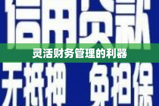 射阳灵活财务管理的利器