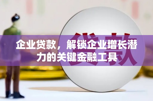 射阳企业贷款，解锁企业增长潜力的关键金融工具