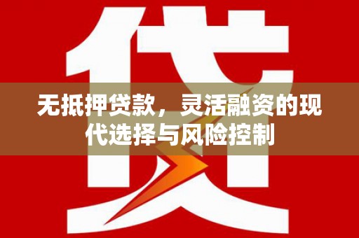 射阳无抵押贷款，灵活融资的现代选择与风险控制