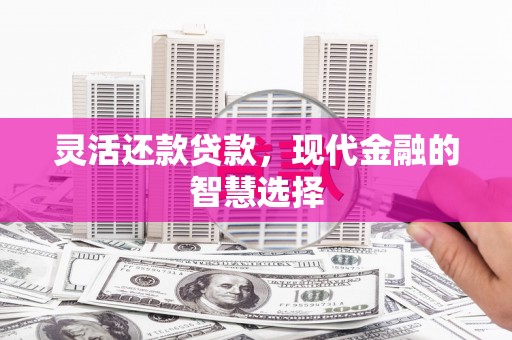 射阳灵活还款贷款，现代金融的智慧选择