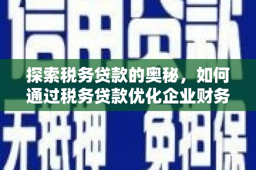 射阳探索税务贷款的奥秘，如何通过税务贷款优化企业财务