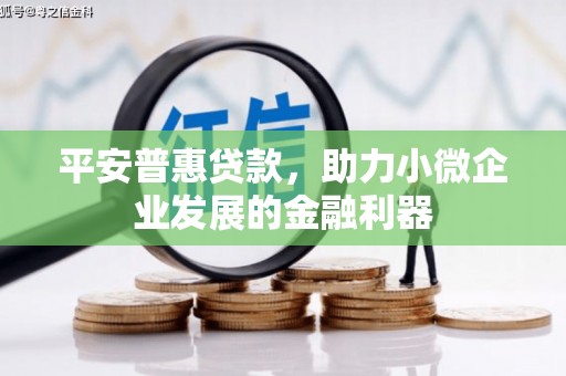 射阳平安普惠贷款，助力小微企业发展的金融利器