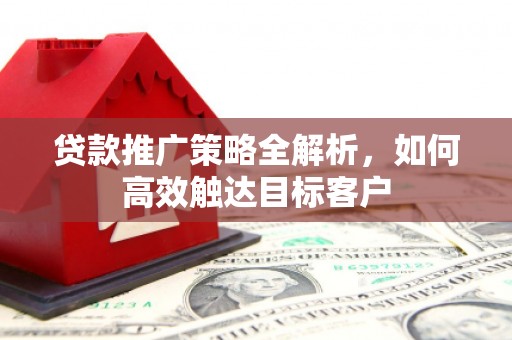 射阳贷款推广策略全解析，如何高效触达目标客户