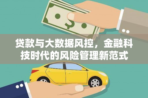 射阳贷款与大数据风控，金融科技时代的风险管理新范式