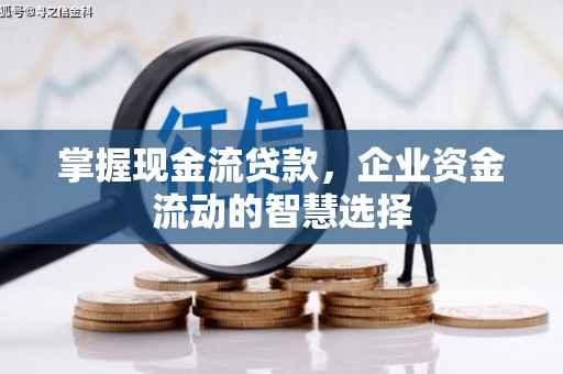 射阳掌握现金流贷款，企业资金流动的智慧选择