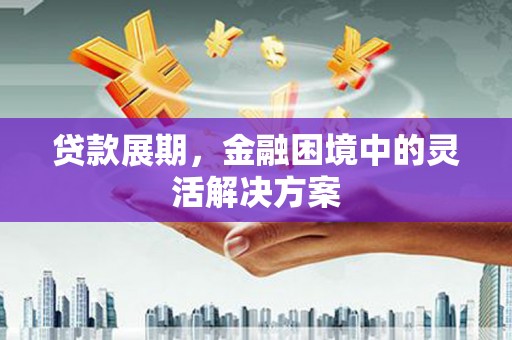 射阳贷款展期，金融困境中的灵活解决方案