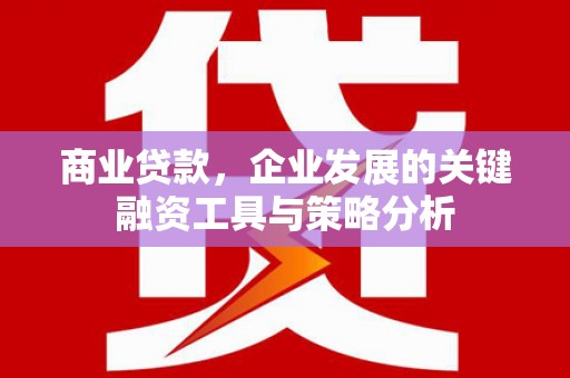 射阳商业贷款，企业发展的关键融资工具与策略分析