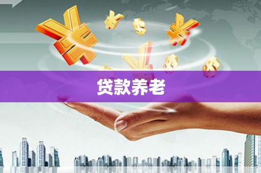 射阳贷款养老