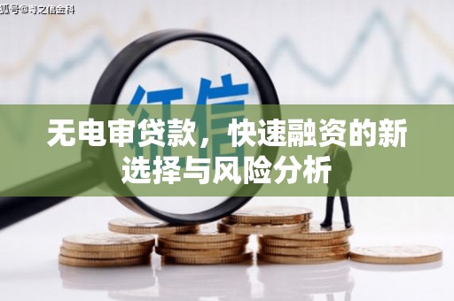 射阳无电审贷款，快速融资的新选择与风险分析
