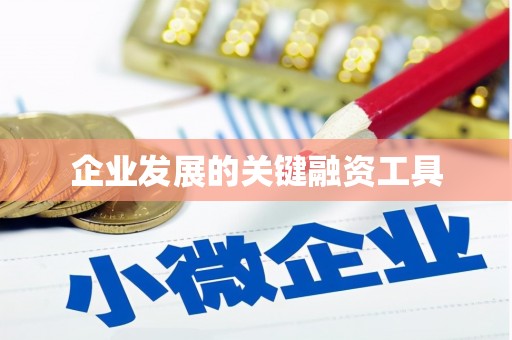 射阳企业发展的关键融资工具