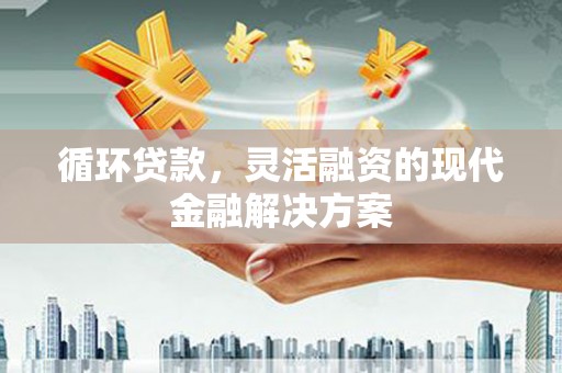 射阳循环贷款，灵活融资的现代金融解决方案