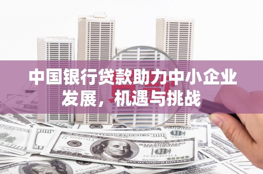射阳中国银行贷款助力中小企业发展，机遇与挑战