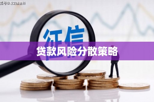 射阳贷款风险分散策略