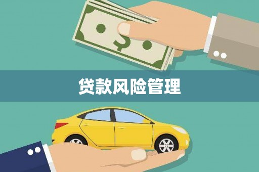 射阳贷款风险管理