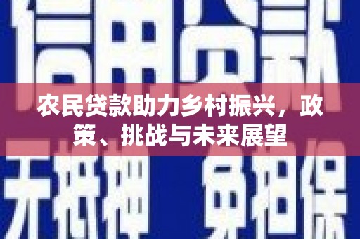射阳农民贷款助力乡村振兴，政策、挑战与未来展望