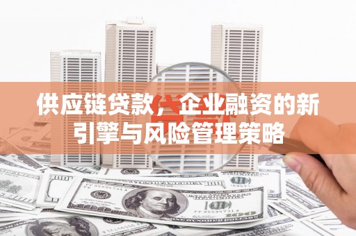 射阳供应链贷款，企业融资的新引擎与风险管理策略